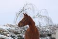 Schnee18.02.18_76_Bildgröße ändern.jpg