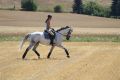 Lilly und Stoppi_114.JPG