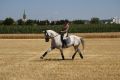 Lilly und Stoppi_055.JPG