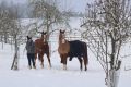 Schnee18.02.18_42_Bildgröße ändern.jpg